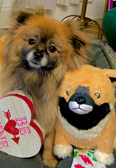 Weighted Cuddle Carl