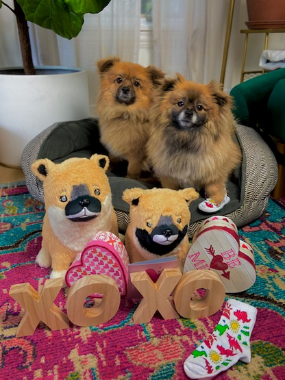 Weighted Cuddle Carl